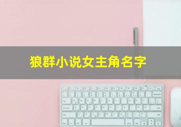 狼群小说女主角名字