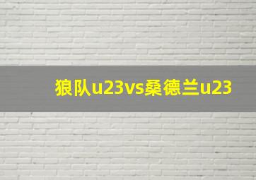 狼队u23vs桑德兰u23