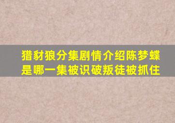 猎豺狼分集剧情介绍陈梦蝶是哪一集被识破叛徒被抓住