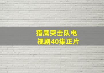 猎鹰突击队电视剧40集正片