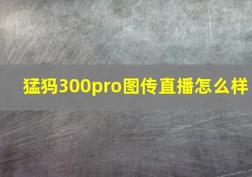 猛犸300pro图传直播怎么样