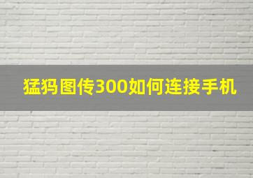 猛犸图传300如何连接手机