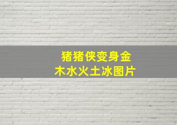 猪猪侠变身金木水火土冰图片