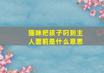 猫咪把孩子叼到主人面前是什么意思