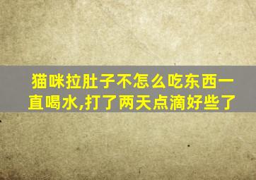 猫咪拉肚子不怎么吃东西一直喝水,打了两天点滴好些了