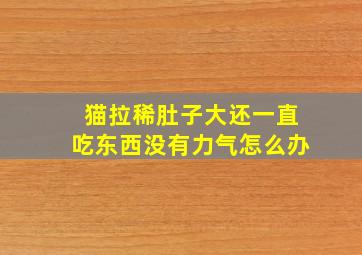 猫拉稀肚子大还一直吃东西没有力气怎么办