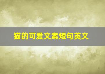 猫的可爱文案短句英文