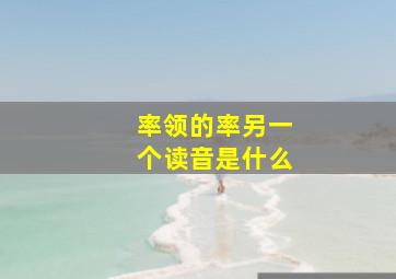 率领的率另一个读音是什么