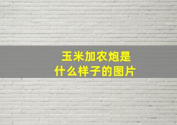 玉米加农炮是什么样子的图片