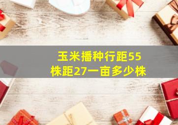 玉米播种行距55株距27一亩多少株