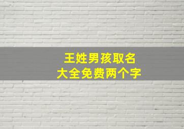 王姓男孩取名大全免费两个字