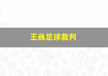 王巍足球裁判