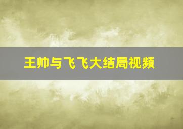 王帅与飞飞大结局视频