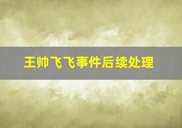 王帅飞飞事件后续处理