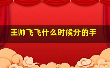 王帅飞飞什么时候分的手