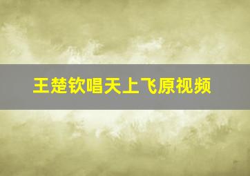 王楚钦唱天上飞原视频