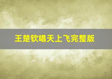 王楚钦唱天上飞完整版