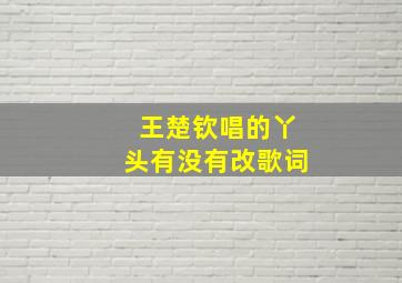 王楚钦唱的丫头有没有改歌词