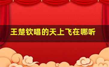 王楚钦唱的天上飞在哪听