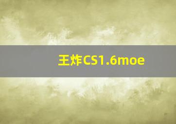 王炸CS1.6moe