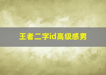 王者二字id高级感男