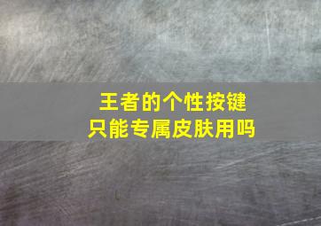 王者的个性按键只能专属皮肤用吗