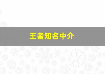 王者知名中介