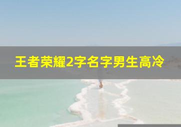 王者荣耀2字名字男生高冷