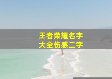 王者荣耀名字大全伤感二字