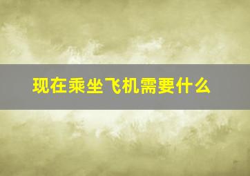 现在乘坐飞机需要什么