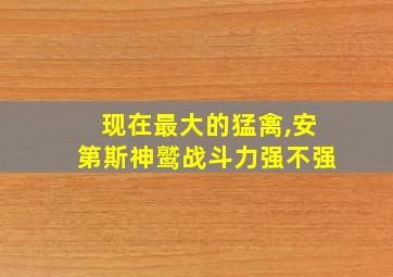 现在最大的猛禽,安第斯神鹫战斗力强不强