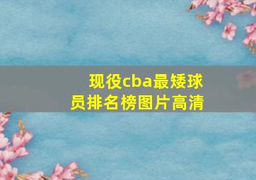 现役cba最矮球员排名榜图片高清