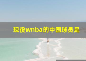 现役wnba的中国球员是