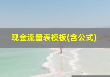 现金流量表模板(含公式)