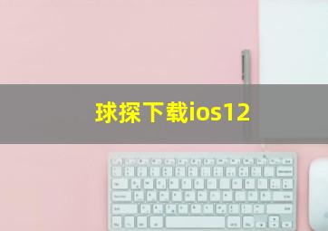 球探下载ios12