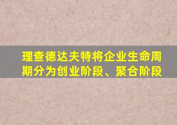 理查德达夫特将企业生命周期分为创业阶段、聚合阶段