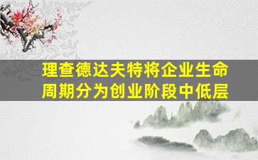 理查德达夫特将企业生命周期分为创业阶段中低层