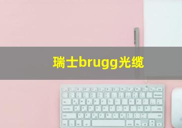 瑞士brugg光缆