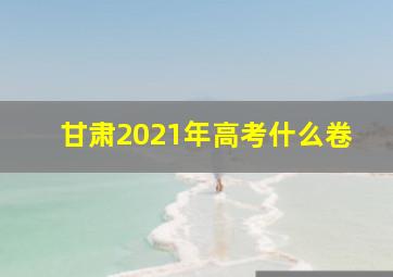 甘肃2021年高考什么卷