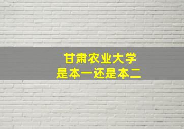 甘肃农业大学是本一还是本二