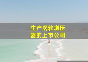 生产涡轮增压器的上市公司