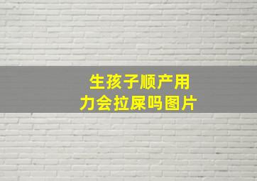 生孩子顺产用力会拉屎吗图片