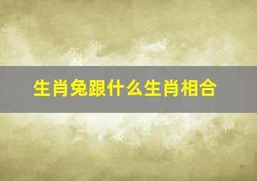 生肖兔跟什么生肖相合