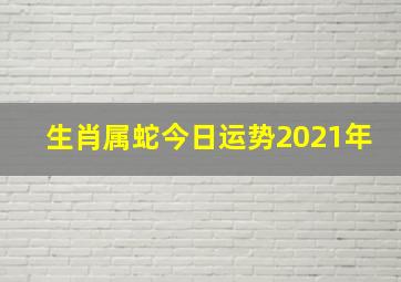 生肖属蛇今日运势2021年