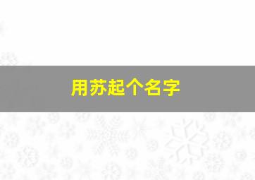 用苏起个名字