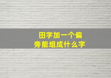 田字加一个偏旁能组成什么字