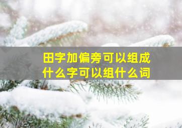 田字加偏旁可以组成什么字可以组什么词