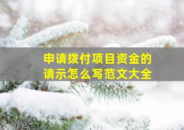 申请拨付项目资金的请示怎么写范文大全