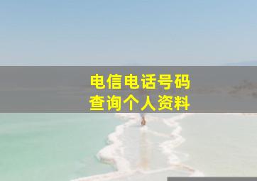 电信电话号码查询个人资料