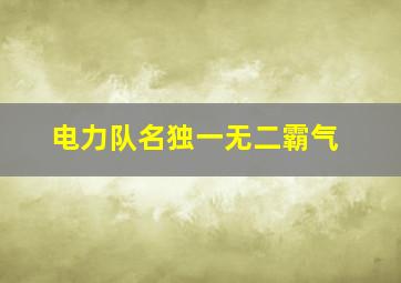 电力队名独一无二霸气